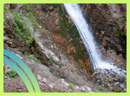 Mineral Water