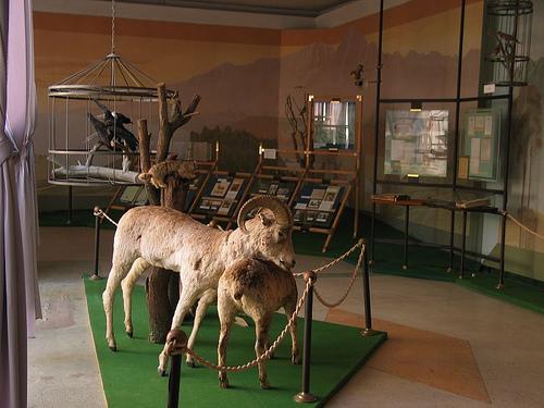 Przewalsky museum, close to Karakol