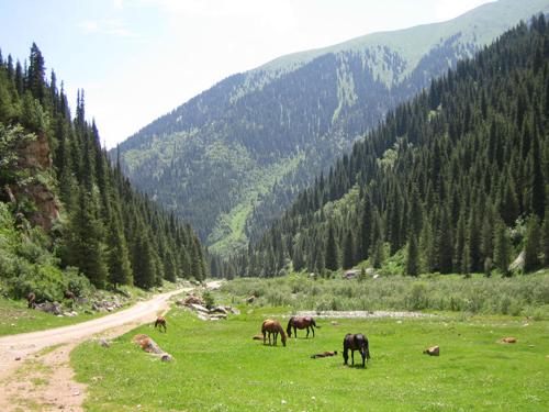Semenovskaya Valley