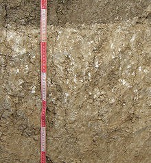 Soils